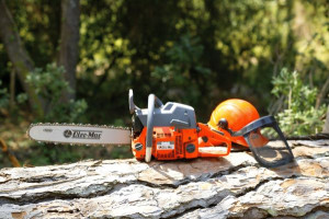 Chainsaw accessories