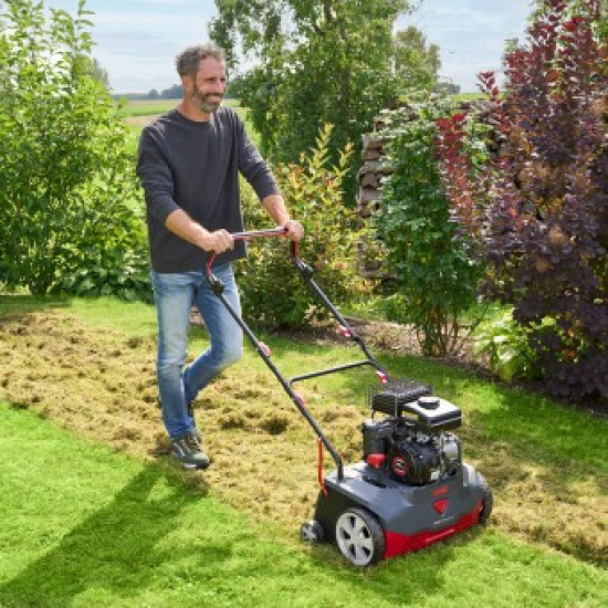 Lawn aerator cleaner 38.6 P Comfort (1.4kW)