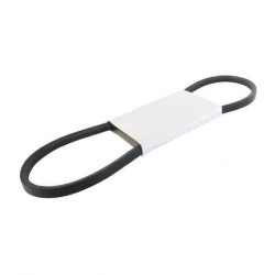 Ass piedziņas siksna Marina S500