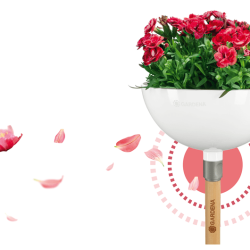 ClickUp! Ziedu Turētājs