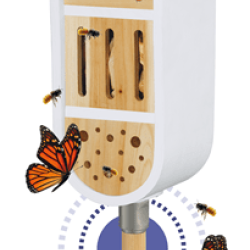 ClickUp! Kukaiņu māja