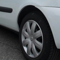 Darvas Noņēmējs Teer-& Harzentferner 600ml, Motip