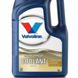 Dzesēšanas šķidrums Multivehicle Coolant Concentrate 5L, Valvoline