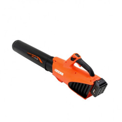 Akumulatora lapu pūtējs DPB-310, 40V, Karkass, Echo