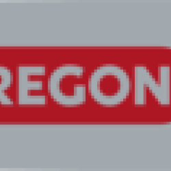 Sliede .325 1,5 33 cm/13 Pro-Lite (Husq), OREGON