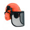 Yukon Chainsaw Safety Helmet with Protective Ear Muff and Mesh Visor, OREGON