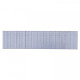 Finish nails 0´, 18GA, electrogalvanized, glued strip, 5000 pcs/pack 30x1,2 mm, Ecomax